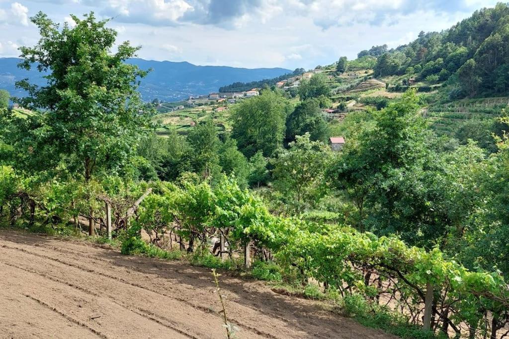 Quinta Dos Castros Douro Vila Baião Exterior foto