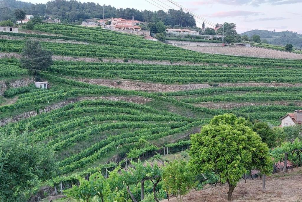 Quinta Dos Castros Douro Vila Baião Exterior foto