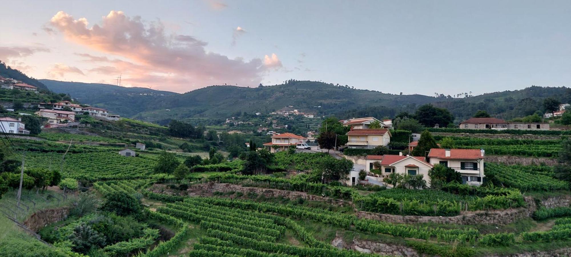 Quinta Dos Castros Douro Vila Baião Exterior foto