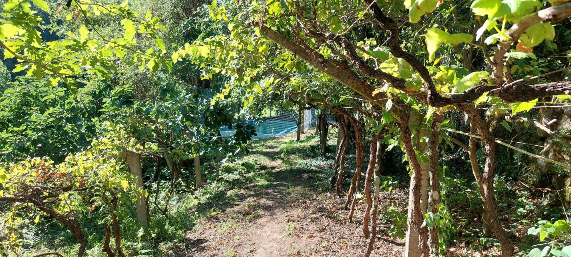 Quinta Dos Castros Douro Vila Baião Exterior foto