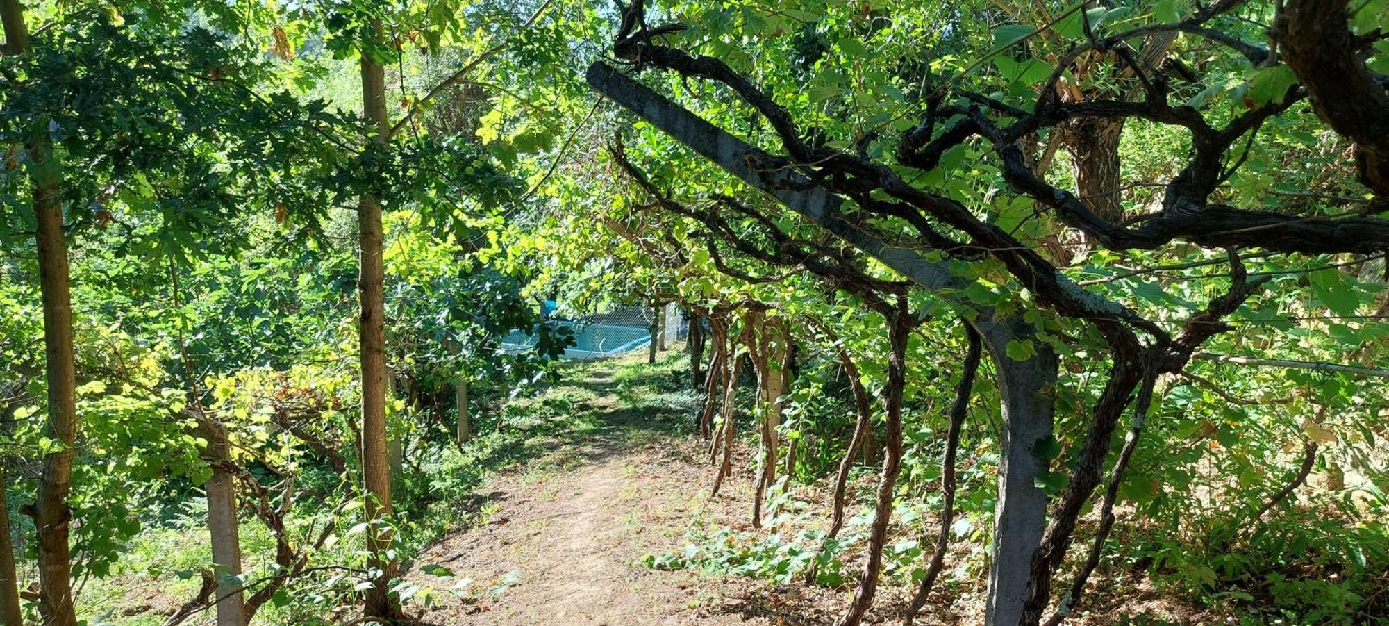 Quinta Dos Castros Douro Vila Baião Exterior foto