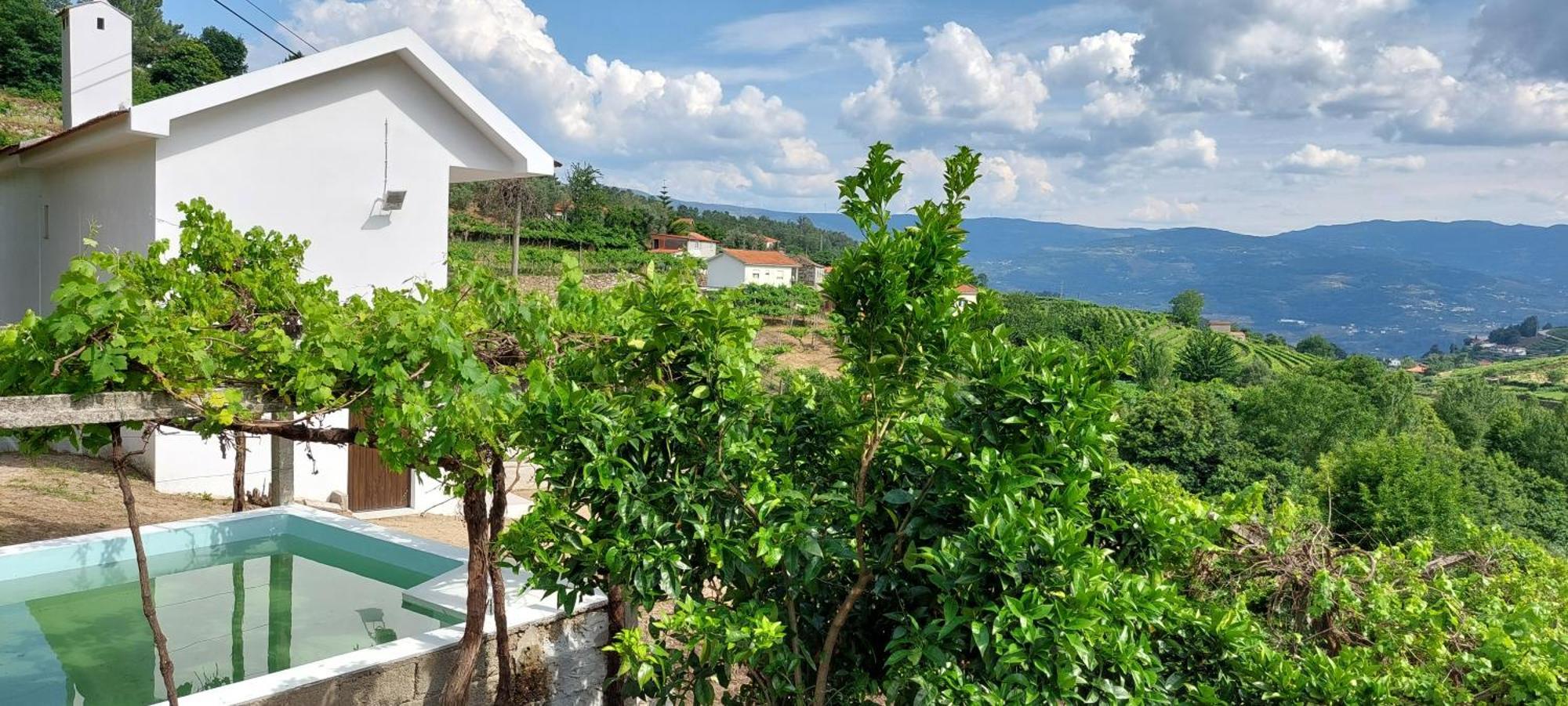 Quinta Dos Castros Douro Vila Baião Exterior foto