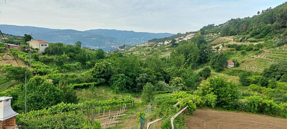 Quinta Dos Castros Douro Vila Baião Exterior foto