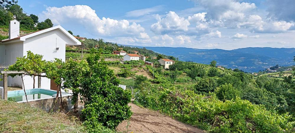 Quinta Dos Castros Douro Vila Baião Exterior foto