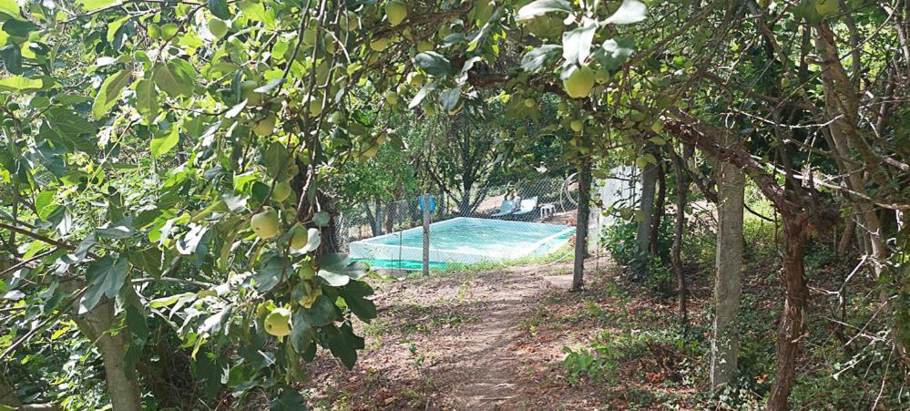 Quinta Dos Castros Douro Vila Baião Exterior foto