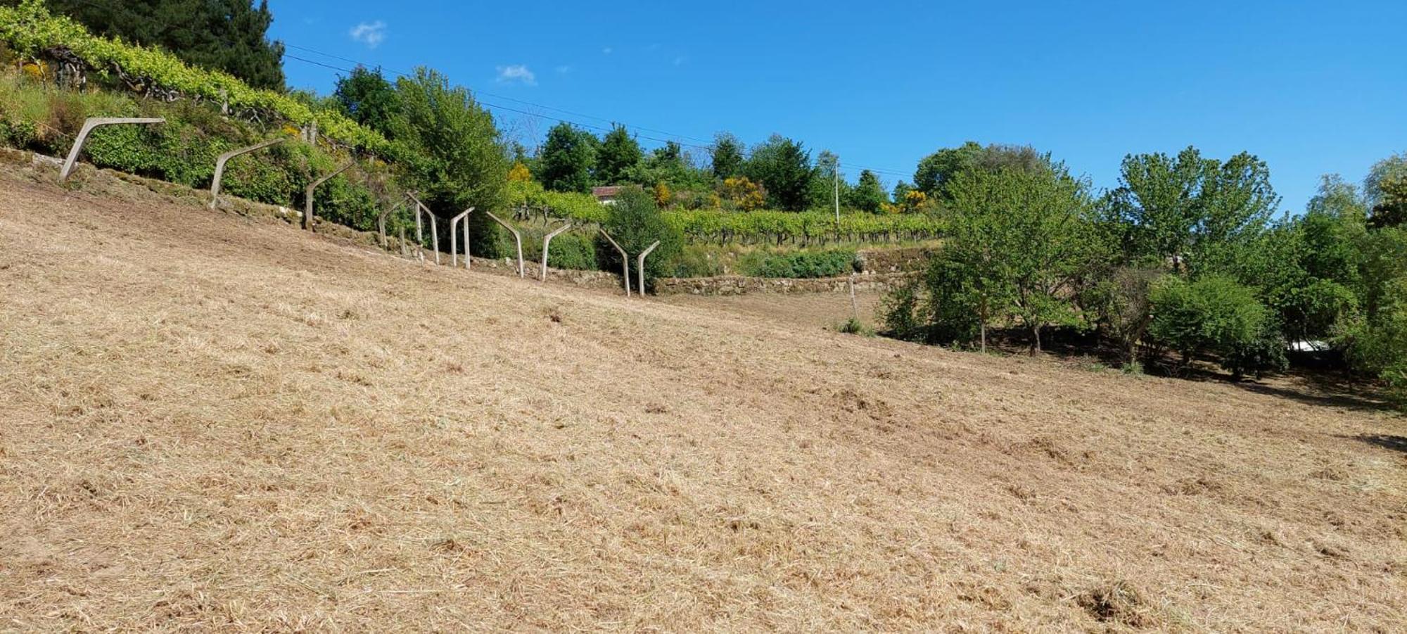 Quinta Dos Castros Douro Vila Baião Exterior foto